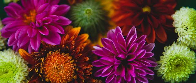 或許遠不止 或許遠不止